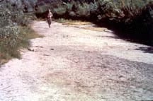dried creek bed